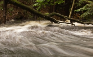 Rushing River by Maggie Smith